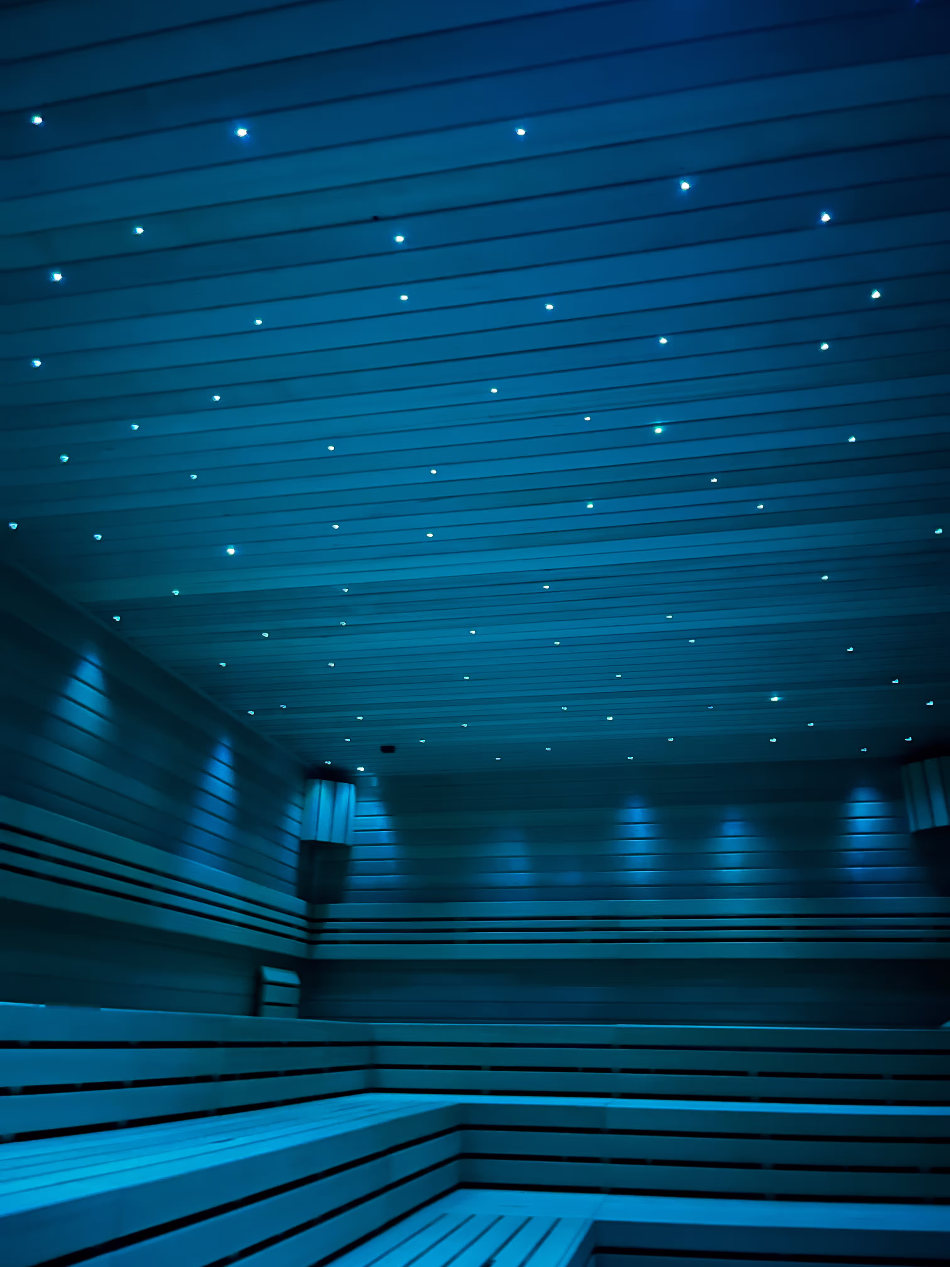 Dřevěná finská sauna s hvězdným stropem